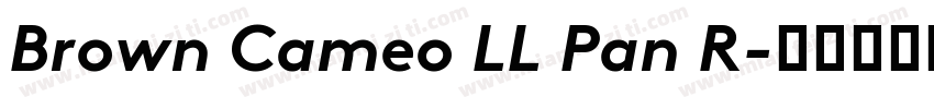 Brown Cameo LL Pan R字体转换